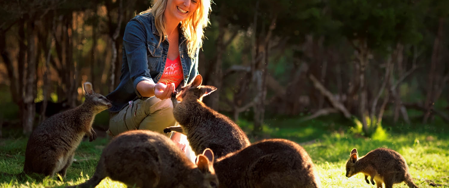 Female hand feeding wallabies at Moonlit Sanctuary Wildlife Conservation Park